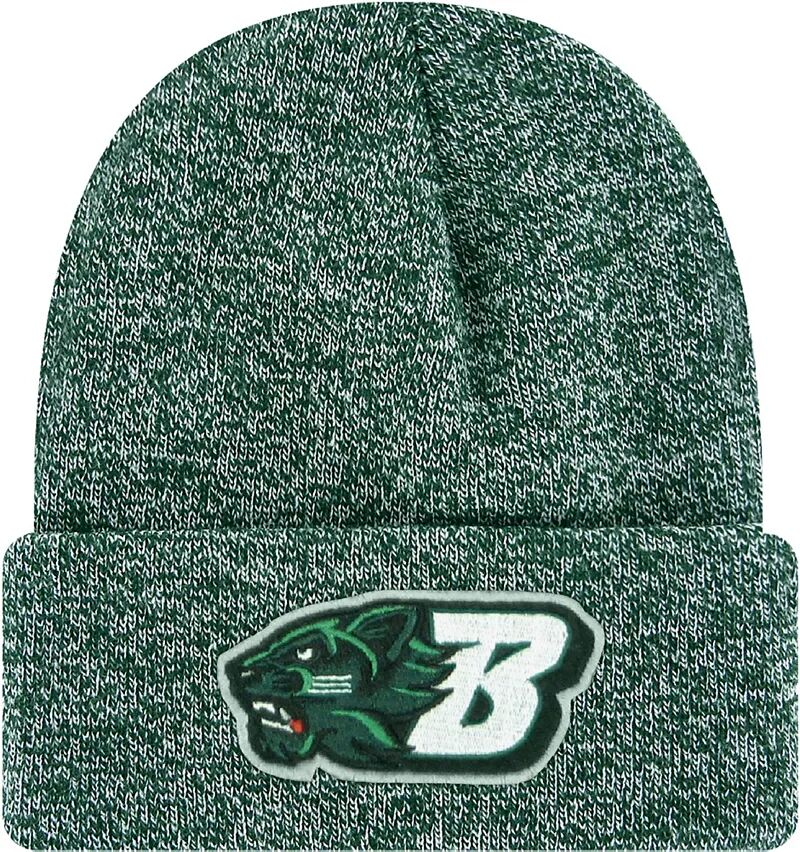Мужская зеленая вязаная шапка League-Legacy Binghamton Bearcats