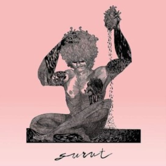 Виниловая пластинка Surut - Surut