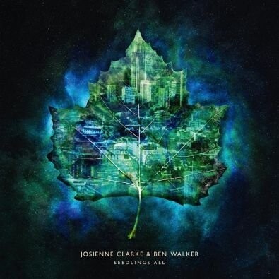 Виниловая пластинка Clarke Josienne & Walker Ben - Seedlings All (Limited Edition) тинвистл d clarke special edition 200d