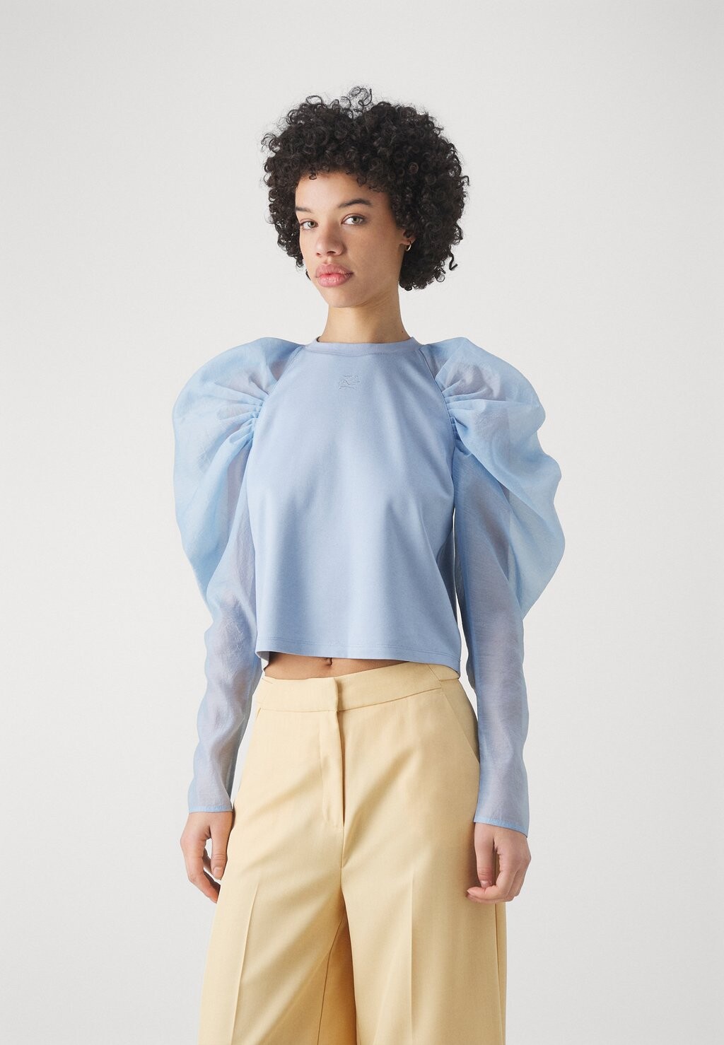 

Блузка Blusa KARL LAGERFELD, Светло-синий