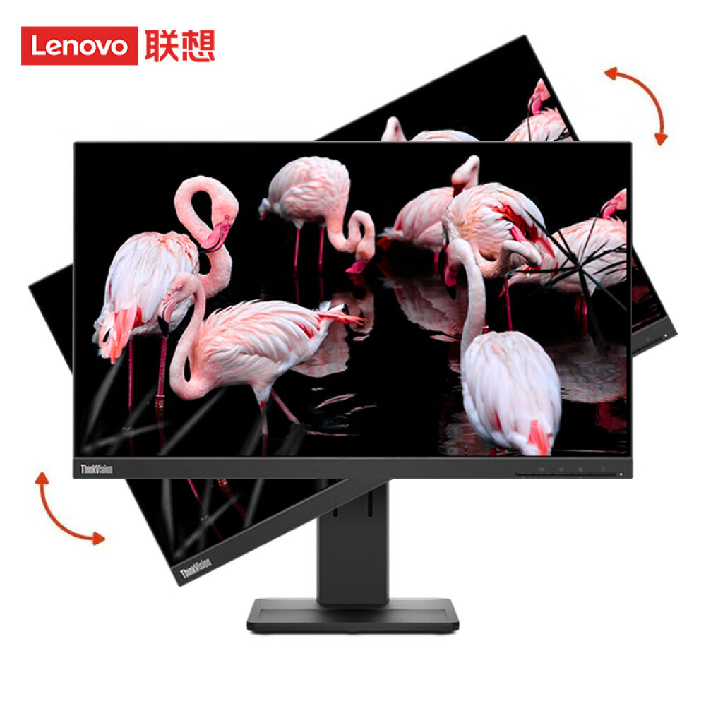 

Монитор Lenovo ThinkVision T24qs 23,8" IPS HD 2K