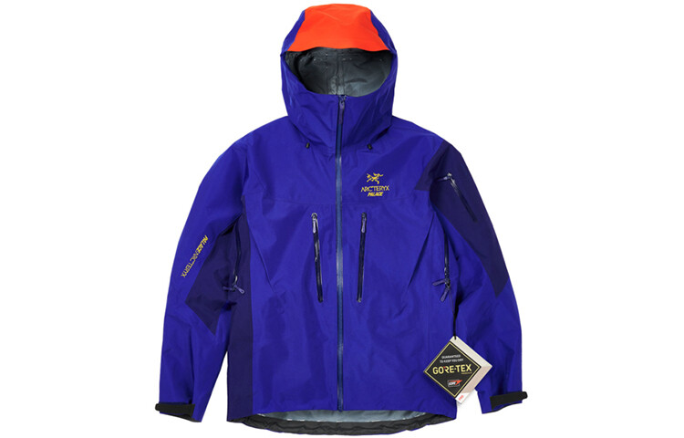 

Куртка Palace X Arcteryx для активного отдыха, серый