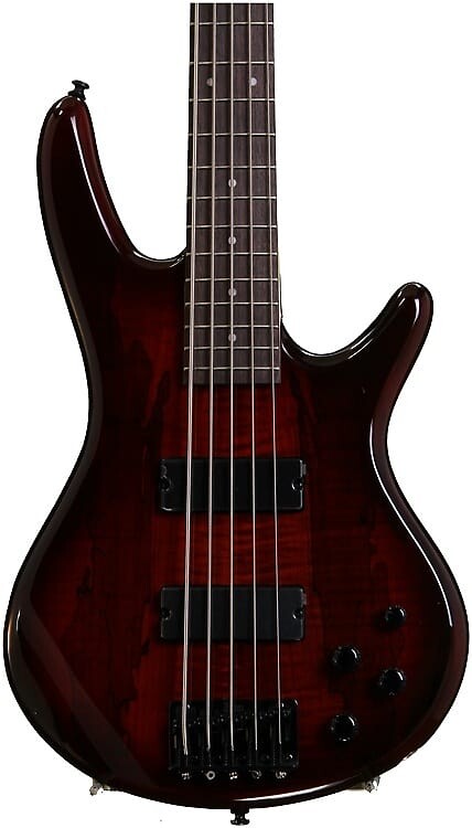 

Бас-гитара Ibanez Gio GSR205SMCNB - Spalted Maple Charcoal Brown Burst