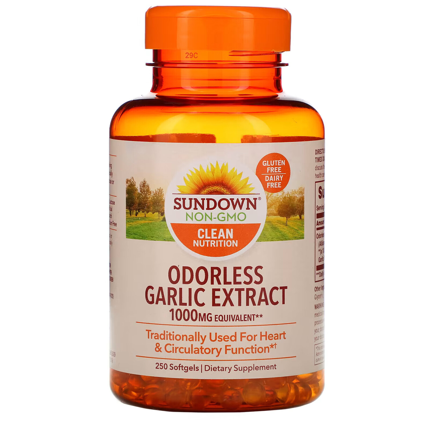 

Sundown Naturals, Чесночный экстракт без запаха, 1000 мг, 250 мягких таблеток