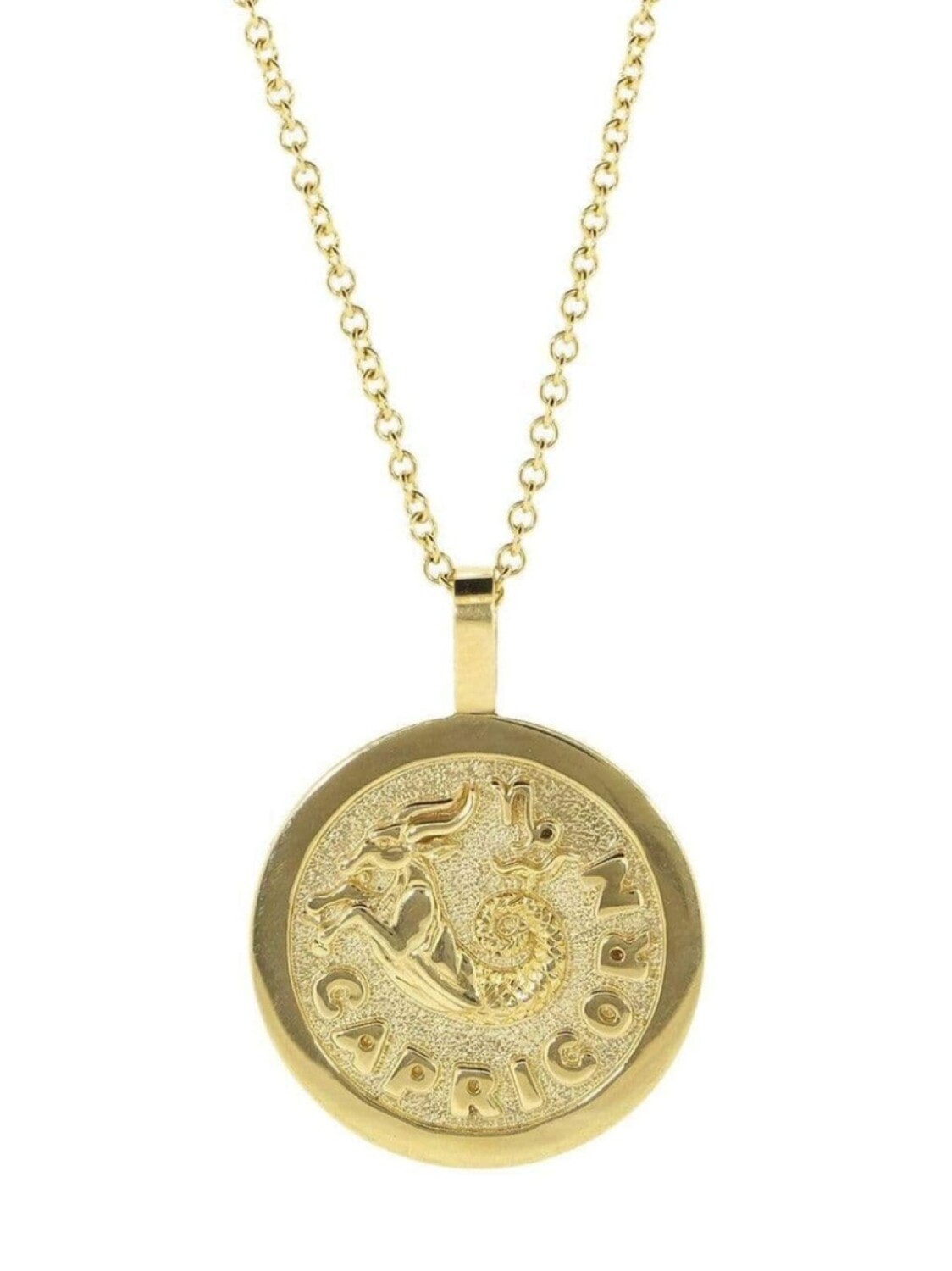 

Колье Capricorn Zodiac из желтого золота с подвеской Anita Ko, золотой