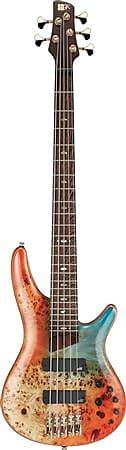 

Бас-гитара Ibanez Premium SR1605DW с сумкой Autumn Sunset Sky SR1605DW ASK