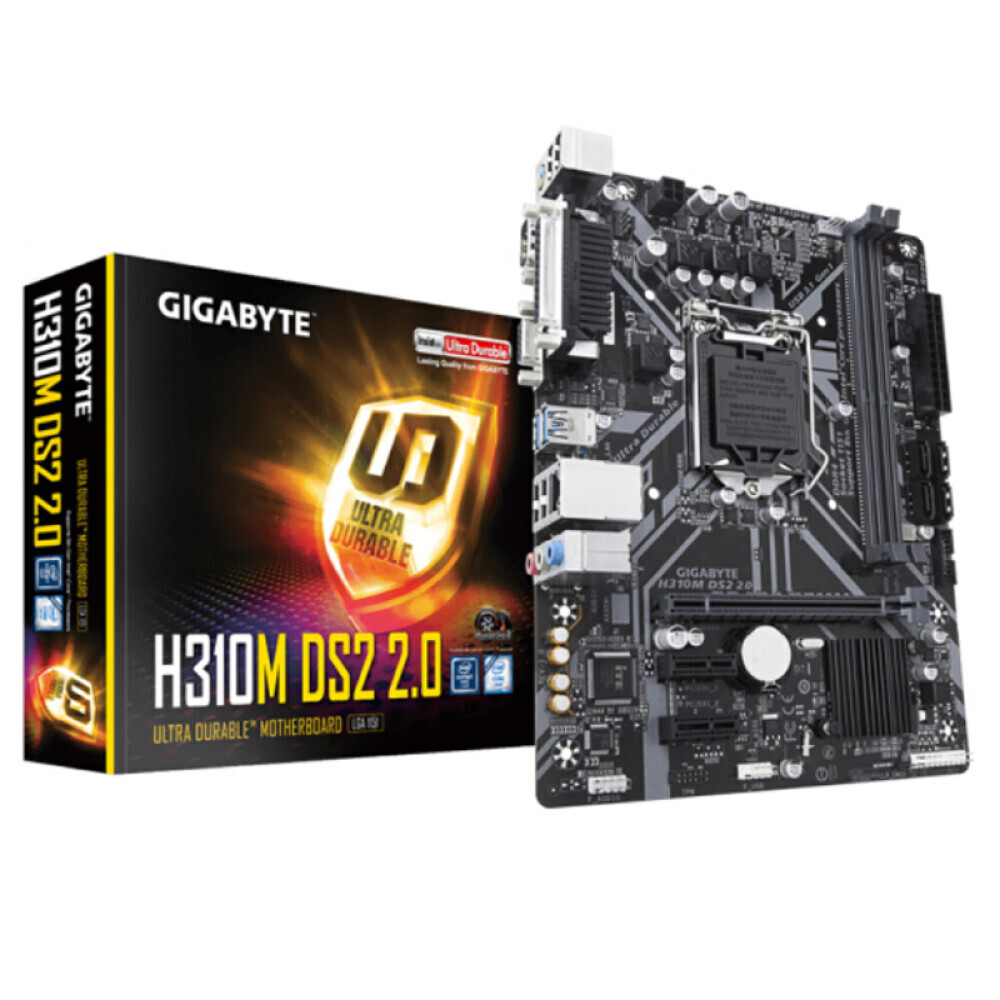 

Материнская плата Gigabyte H310M DS2