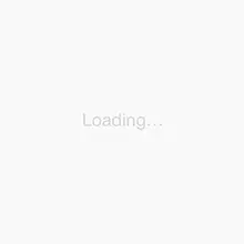 

Туфли женские низкие черные The Row