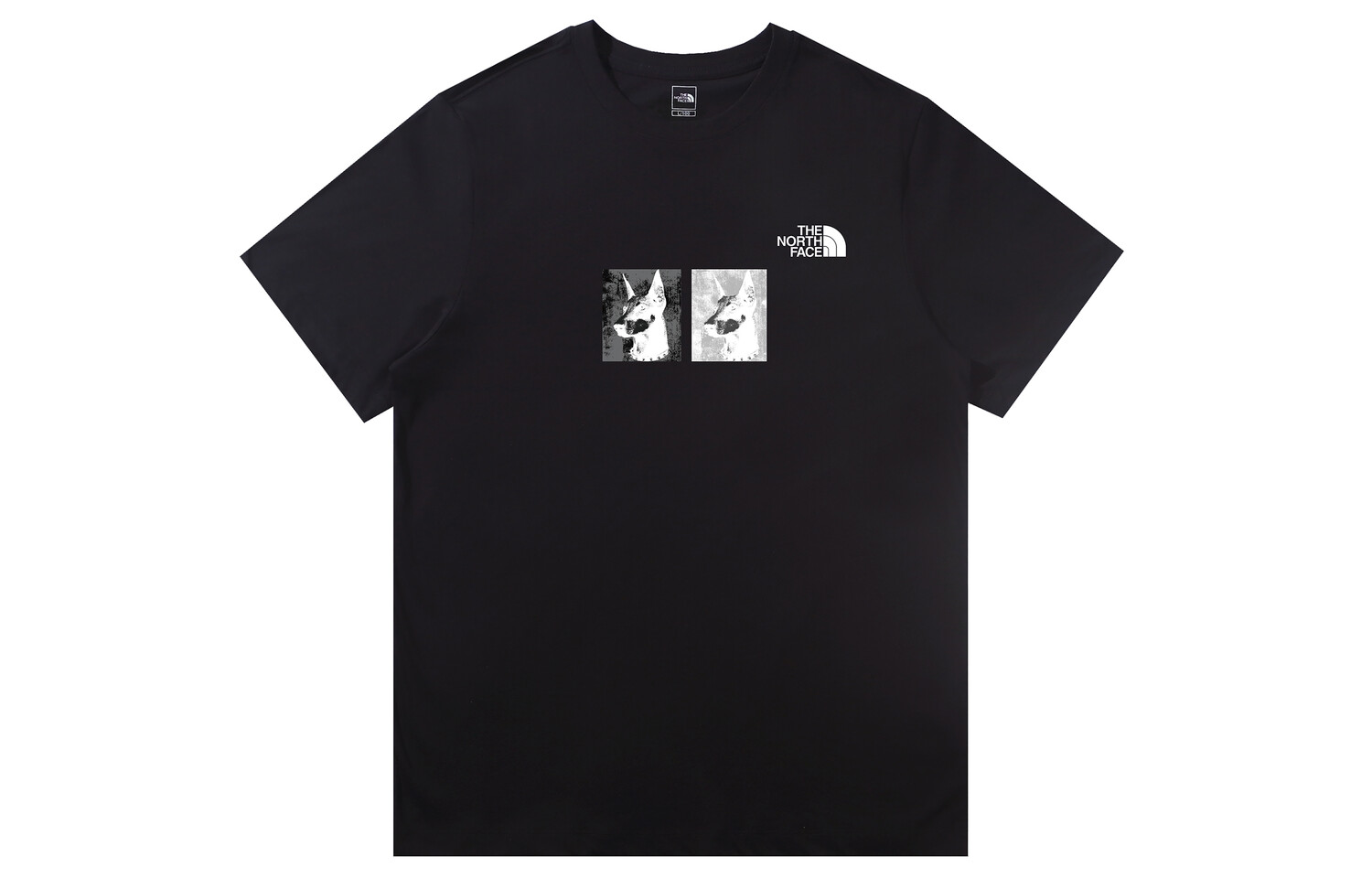 

Футболка мужская черная The North Face, черный