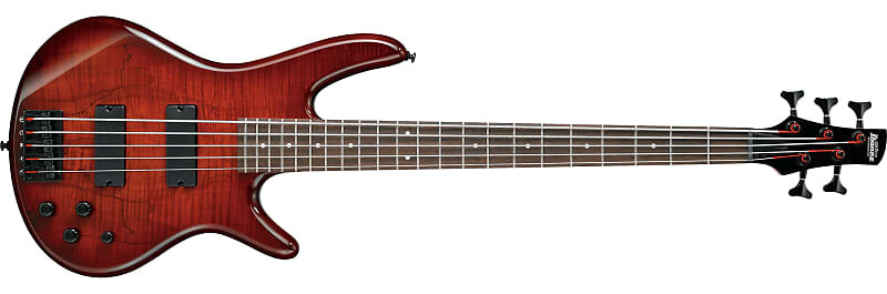 

Ibanez GSR205SMCNB Gio GSR 5-струнная электрическая бас-гитара, Spalted Maple Charcoal Brown Burst RW