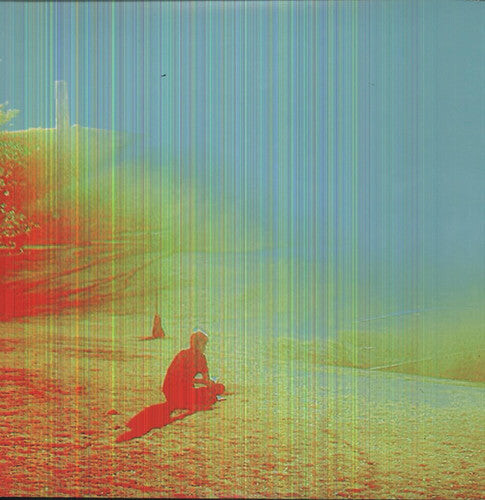 

Виниловая пластинка Flaming Lips: The Terror