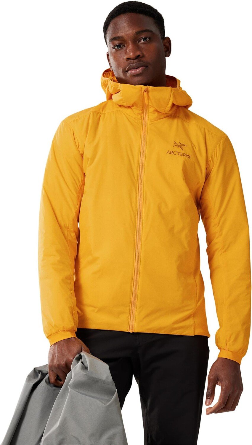 

Куртка Atom Hoody Arc'teryx, цвет Edziza