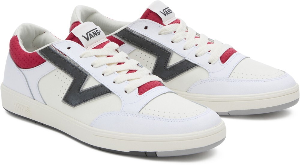 

Низкие кроссовки Vans Lowland Cc, разноцветный