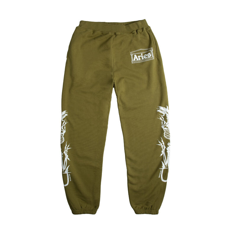 

Брюки Dragon Skeletor Sweatpant Aries, зеленый