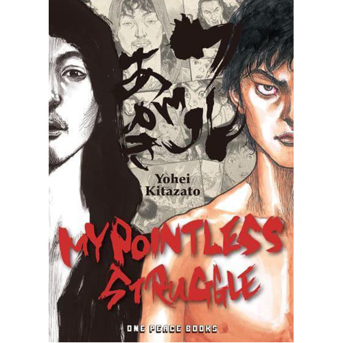 Книга My Pointless Struggle (Paperback) цена и фото