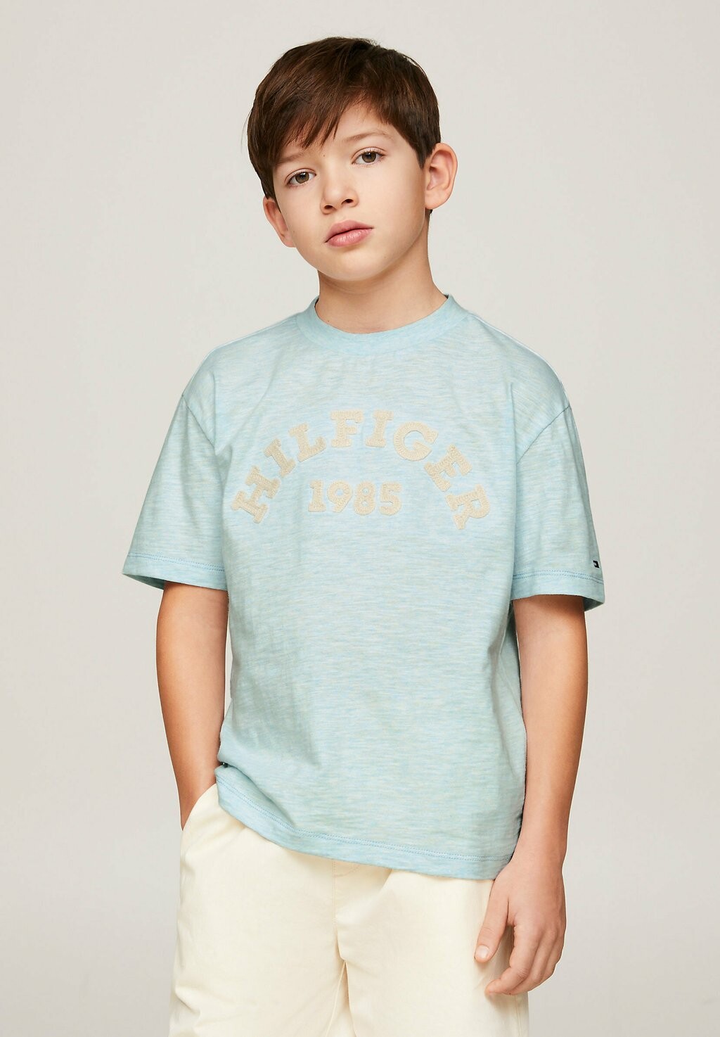 

Футболка с принтом MONOTYPE 1985 COLLECTION Tommy Hilfiger, цвет breezy blue heather