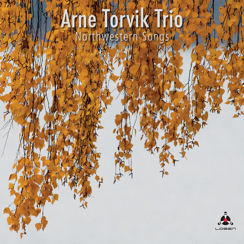 

Виниловая пластинка Arne Torvik: Northwestern Songs