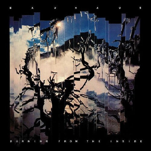 

Виниловая пластинка Bauhaus: Burning From The Inside