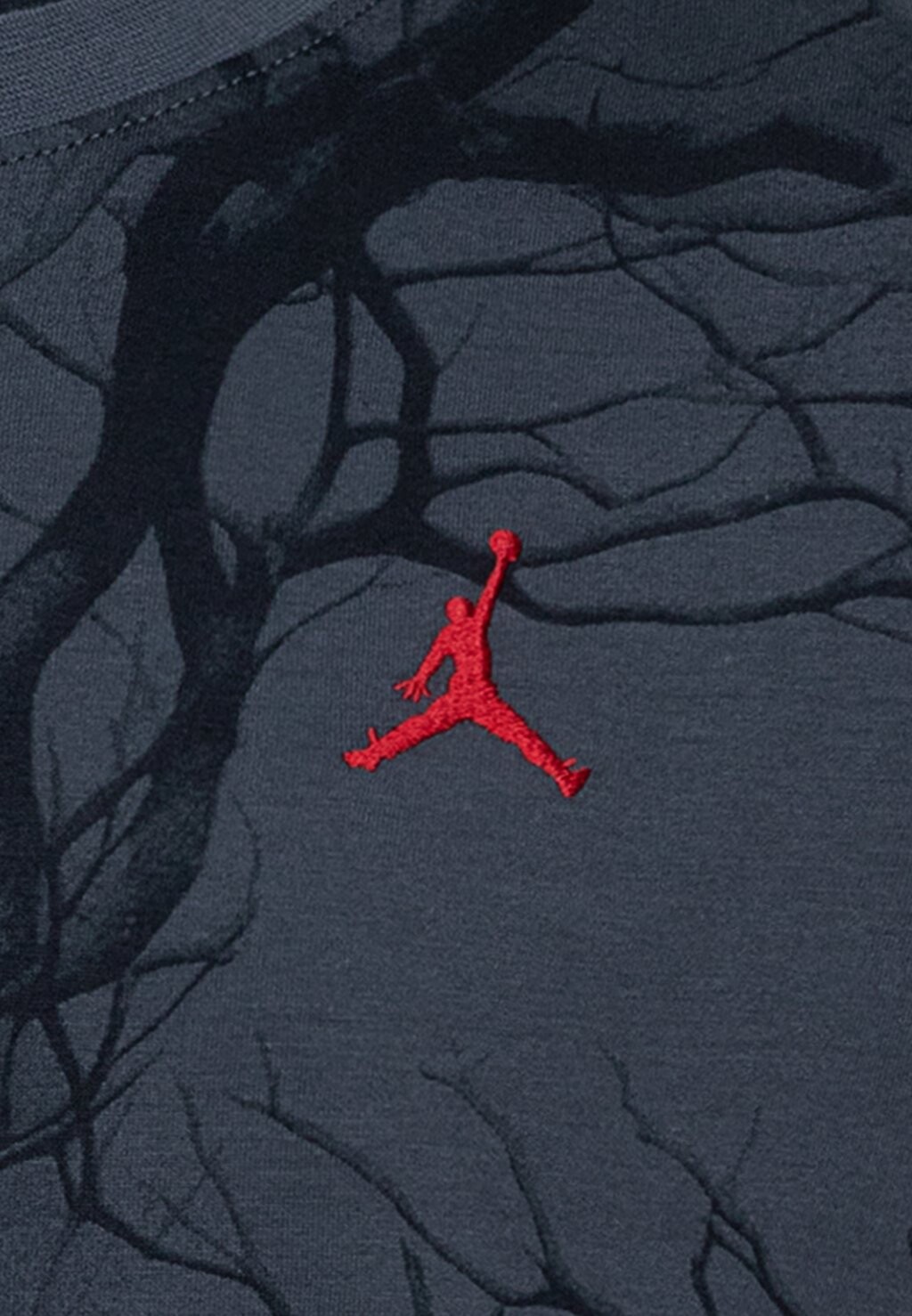 

Футболка FAMILY TREE TEE Jordan, серый