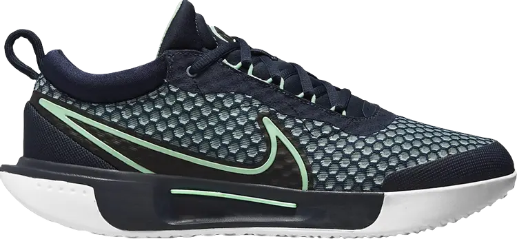 

Кроссовки Nike NikeCourt Zoom Pro 'Obsidian Mint Foam', синий