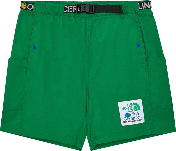 Шорты The North Face x Online Ceramics Cargo Short 'Arden Green', зеленый - фото