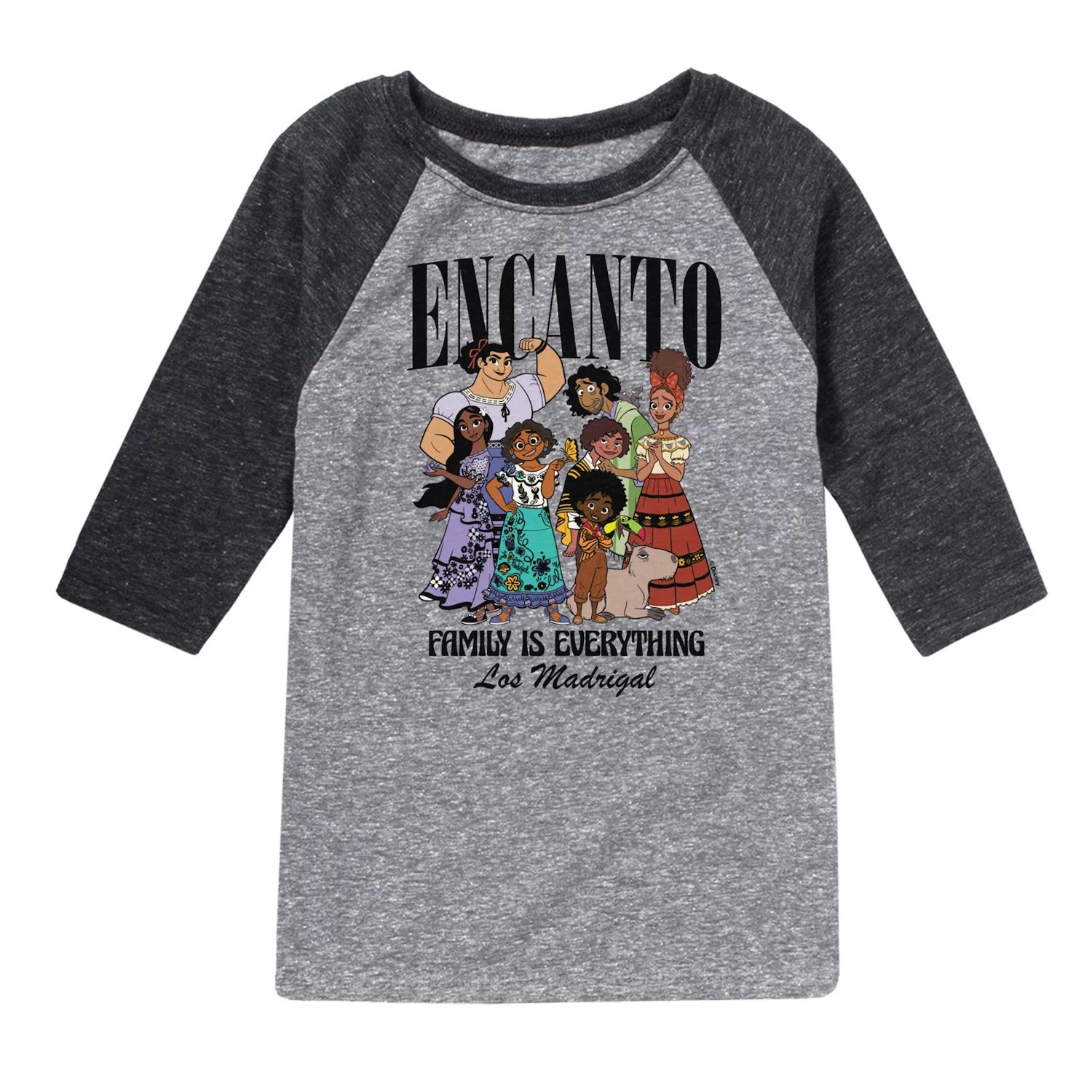 

Футболка Disney's Encanto с рисунком реглан для мальчиков 8–20 лет Family Everything Disney, серый