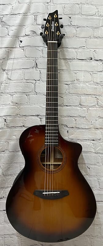 

Акустическая электрогитара Breedlove Organic Solo Pro Concert CE с футляром, Edgeburst SLCN44CERCAM