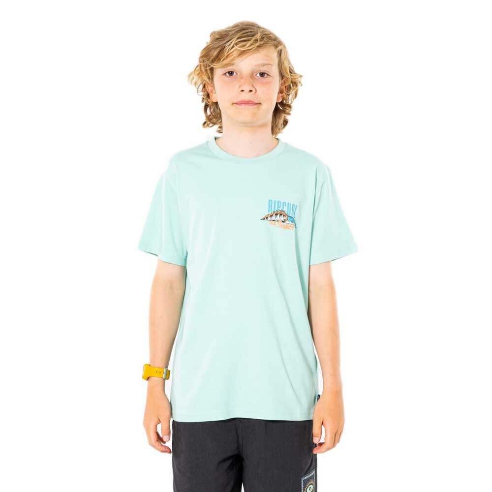 

Футболка с коротким рукавом Rip Curl Origins Lineup, белый