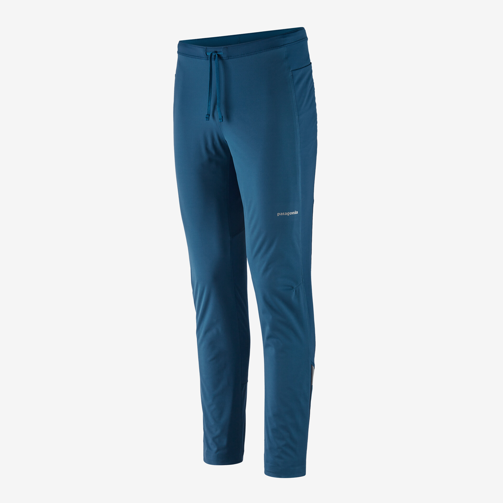 цена Мужские брюки с защитой от ветра Patagonia, лагом синий