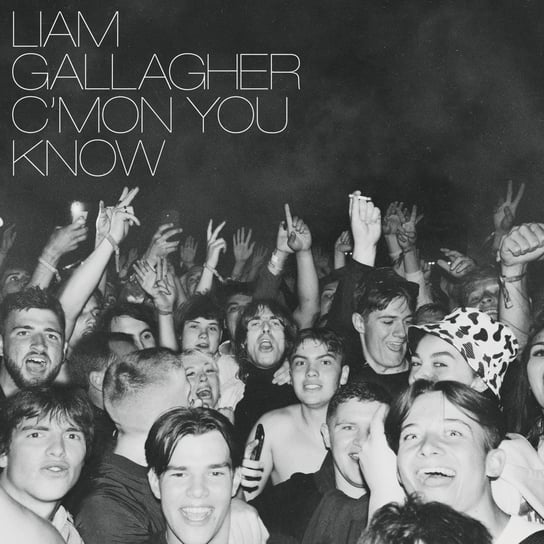 Виниловая пластинка Gallagher Liam - C'Mon You Know liam gallagher as you were limited picture vinyl warner music entertainment