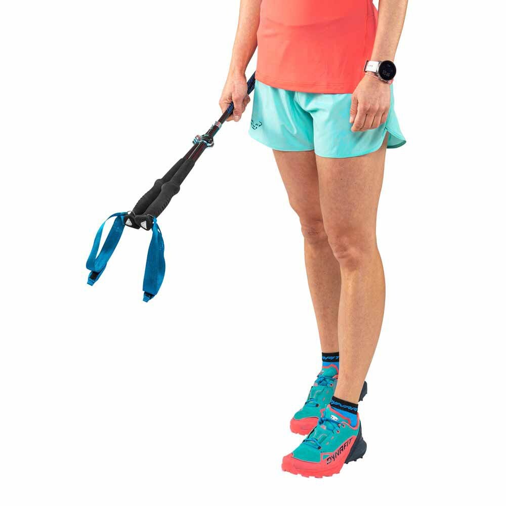 

Брюки Dynafit Alpine 2.0 Shorts, оранжевый