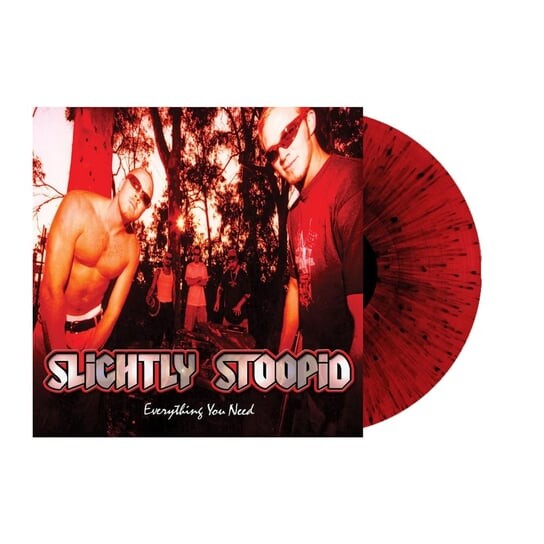 

Виниловая пластинка Slightly Stoopid - Everything You Need