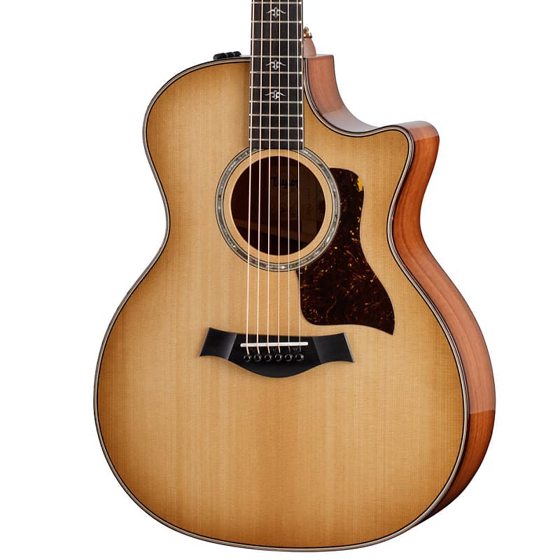 Акустическая гитара Taylor Urban Ironbark 514ce Acoustic-Electric Guitar w/Case