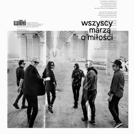 Виниловая пластинка Wilki - Wszyscy marzą o miłości