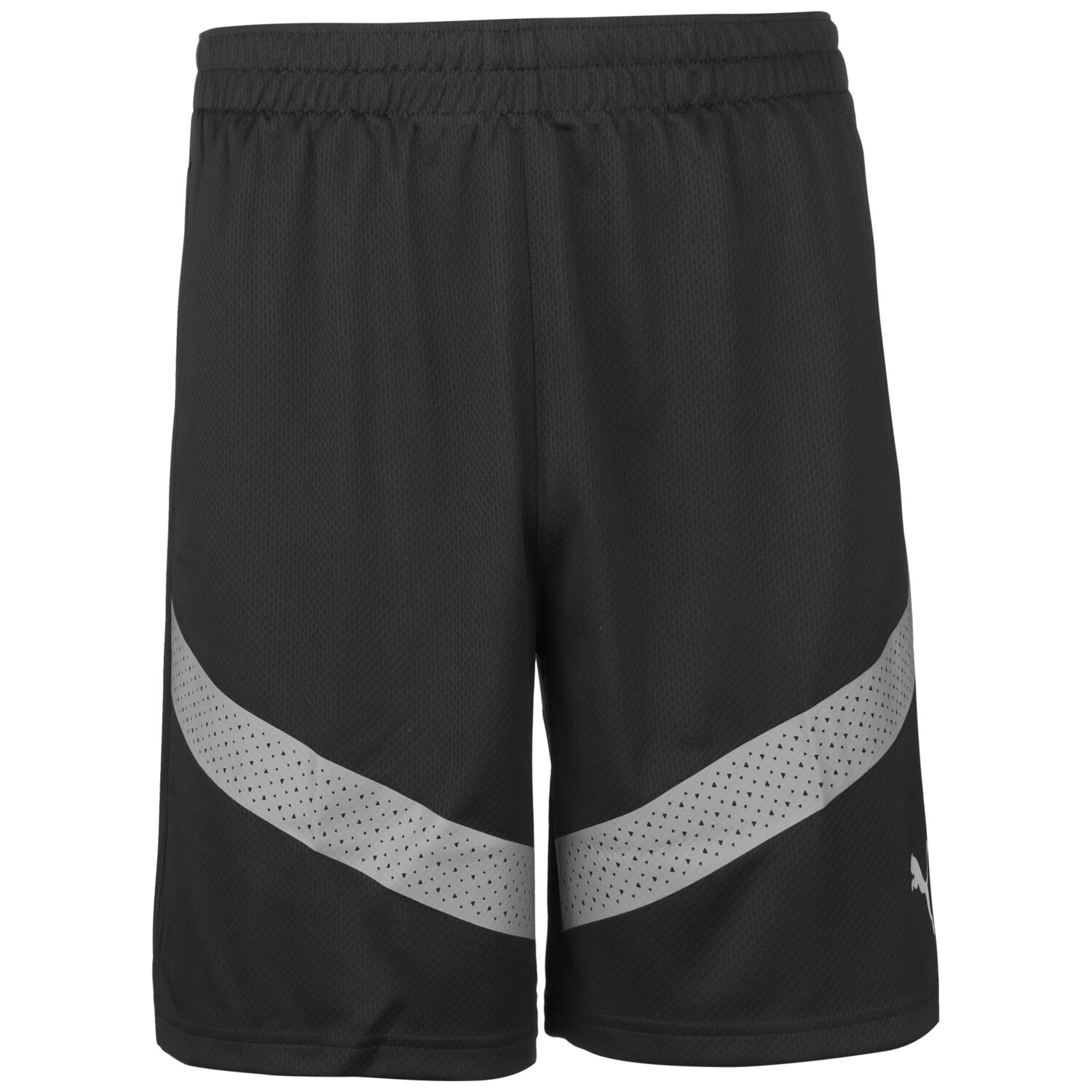 

Шорты Puma Trainings teamFINAL Training, черный