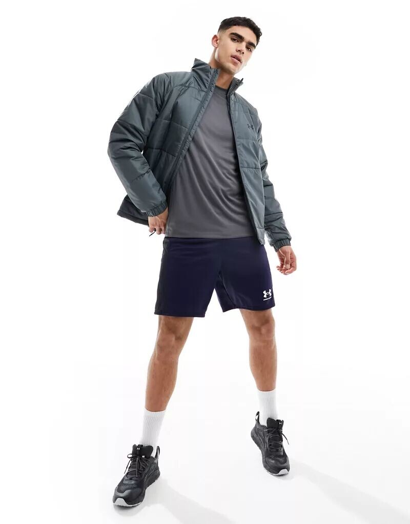 

Серая утепленная куртка Under Armour Storm