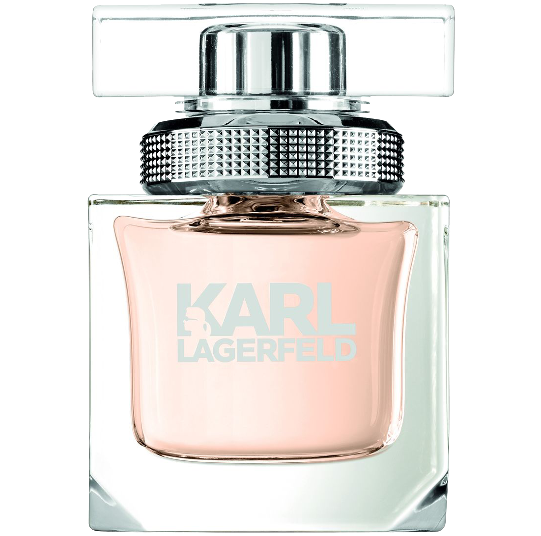Женская парфюмированная вода Karl Lagerfeld Women, 45 мл