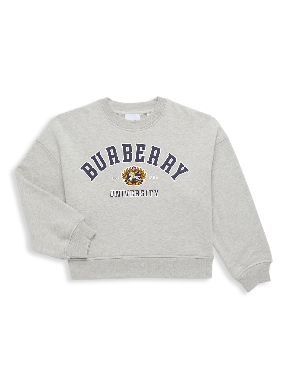 

Толстовка с круглым вырезом для маленьких и детских университетов Burberry, серый