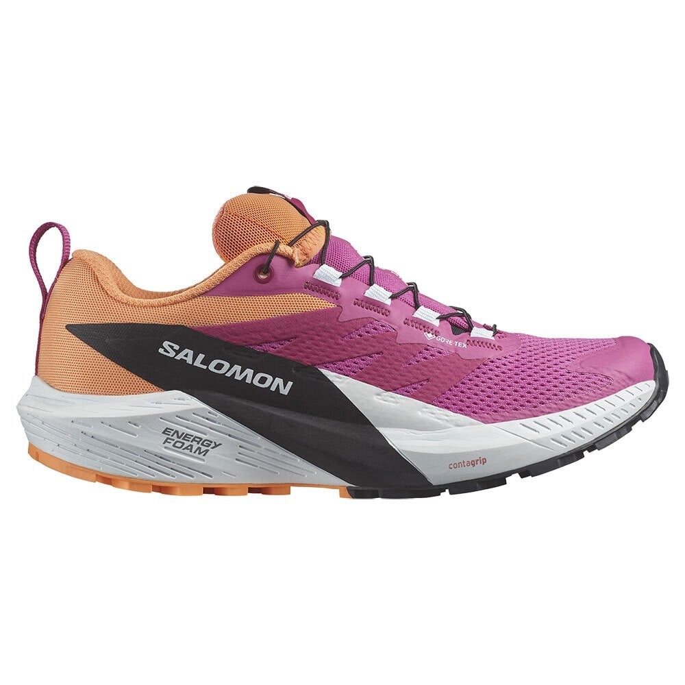 

Кроссовки Salomon Sense Ride 5 Goretex Trail, Разноцветный