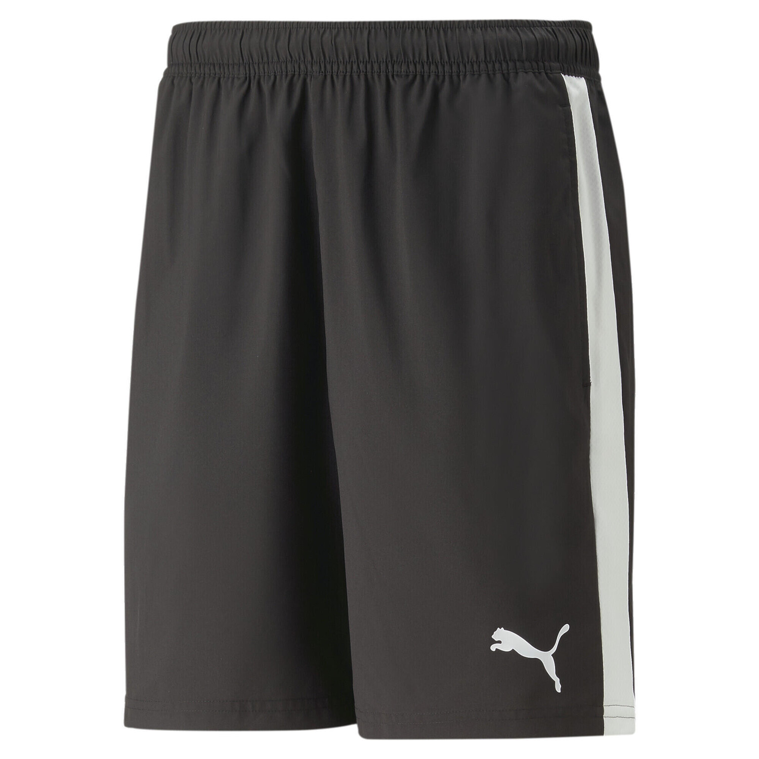 

teamLIGA Шорты Мужчины PUMA, черный