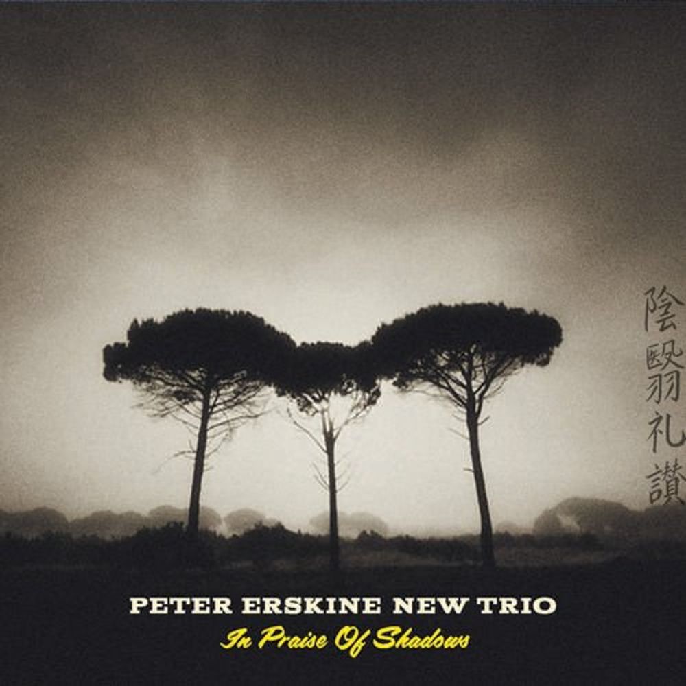 

Диск CD In Praise Of Shadows - Peter Erskine