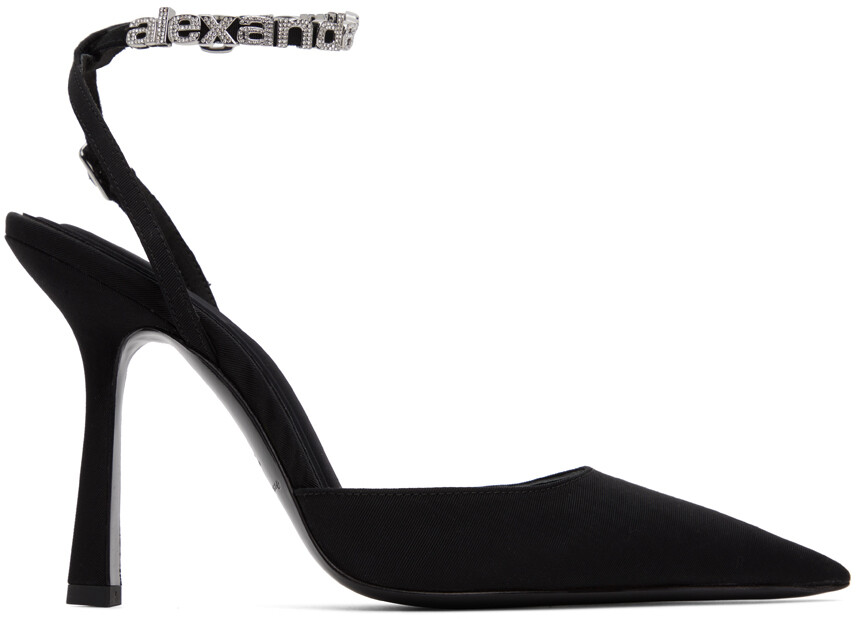 

Черные туфли-лодочки Delphine 105 Alexander Wang