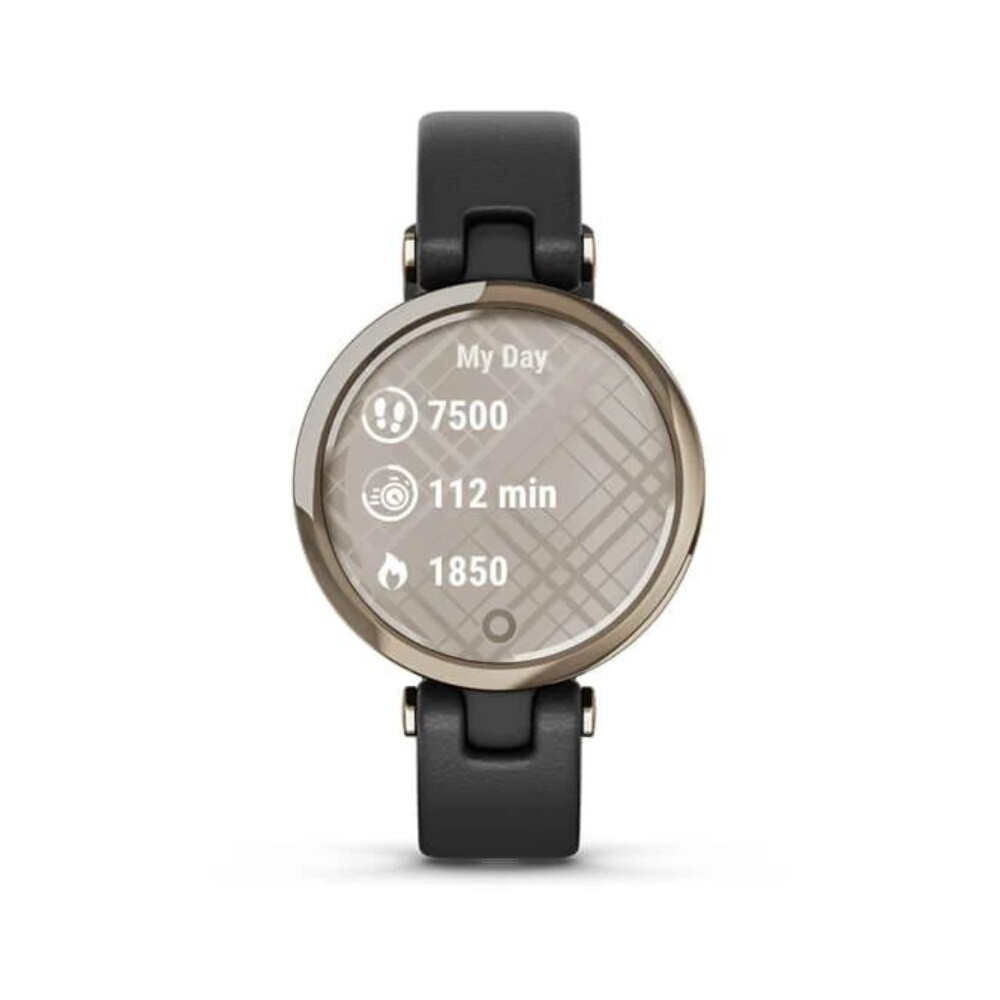 

Умные часы Garmin Lily Classic, 1", Bluetooth, кремово-золотой/черный, Бежевый