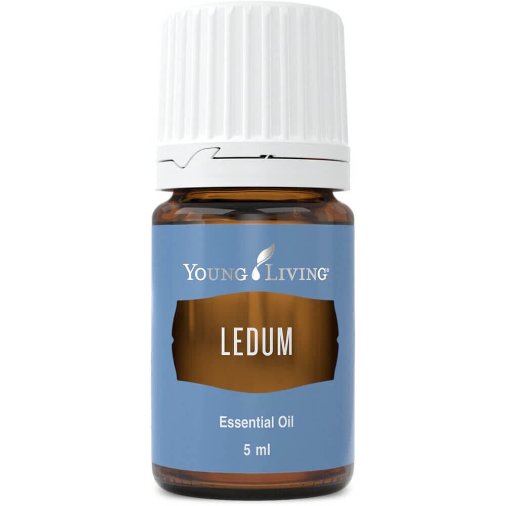 Эфирное масло Богульника (Ledum) Young Living, 5 мл – заказать из-за  границы с доставкой в «CDEK.Shopping»