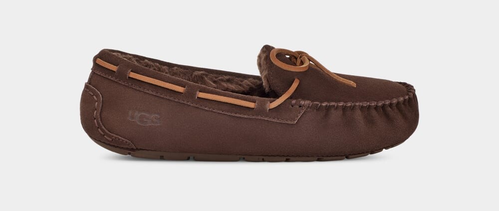 

Домашние тапочки Dakota UGG, коричневый