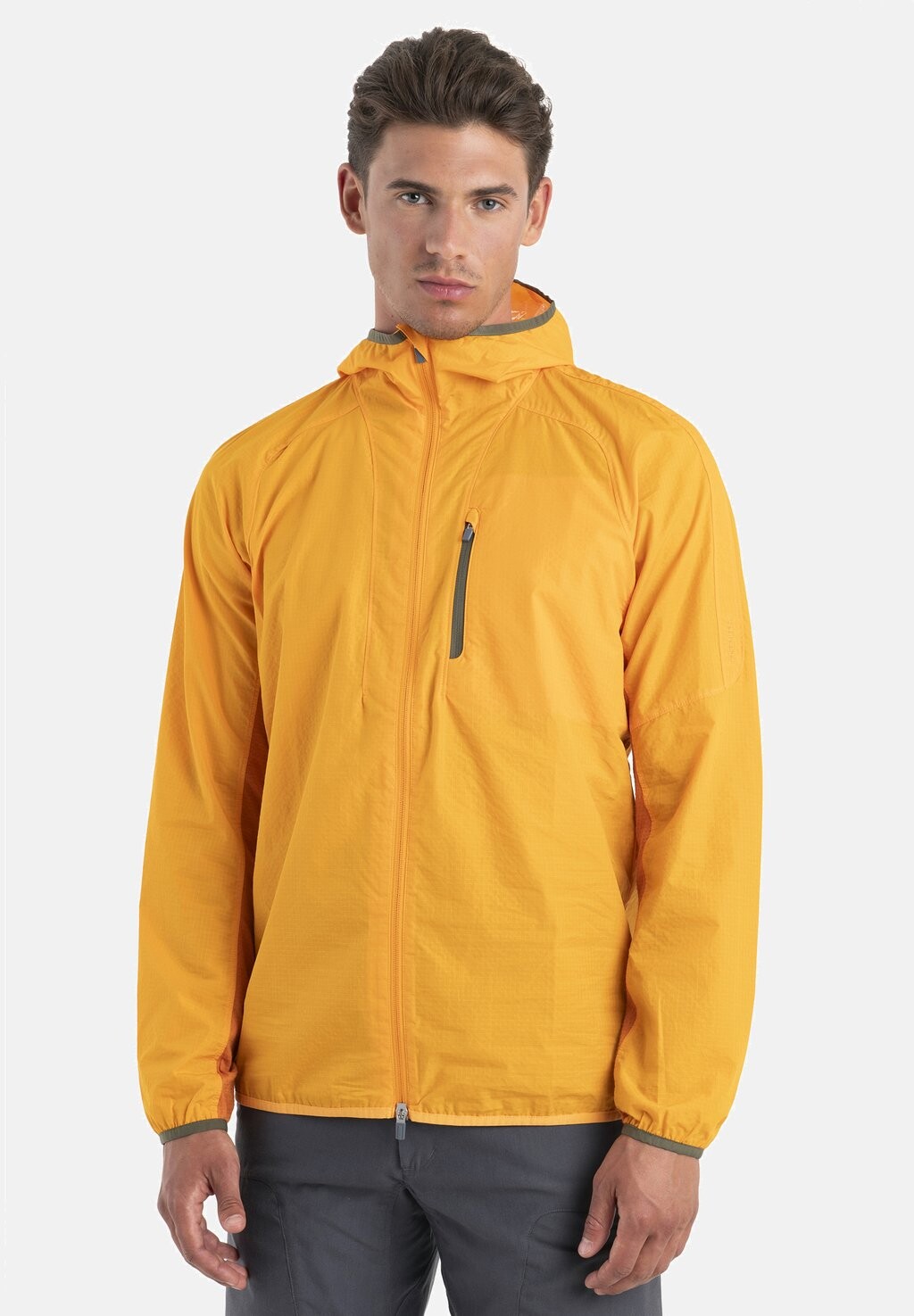 Ветровка Merino Shell+ Windbreaker Icebreaker, цвет solar earth cb