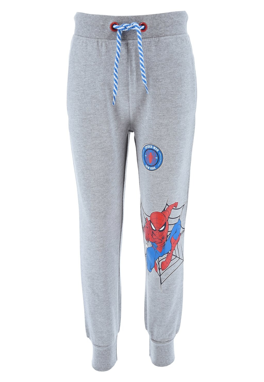 

Брюки спортивные TRAINING Spiderman, цвет grau
