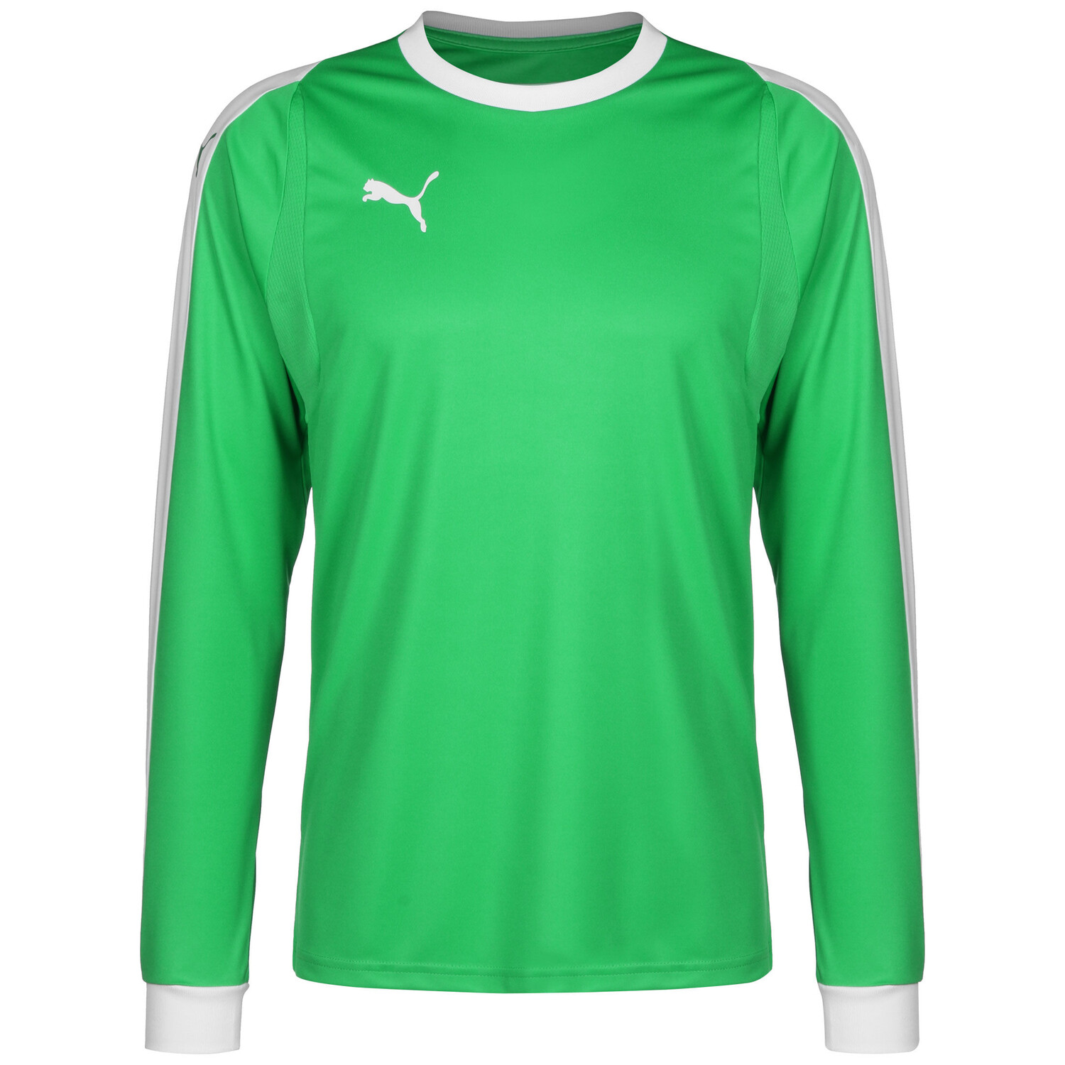 

Рубашка Puma Torwarttrikot Liga, цвет grün/weiß