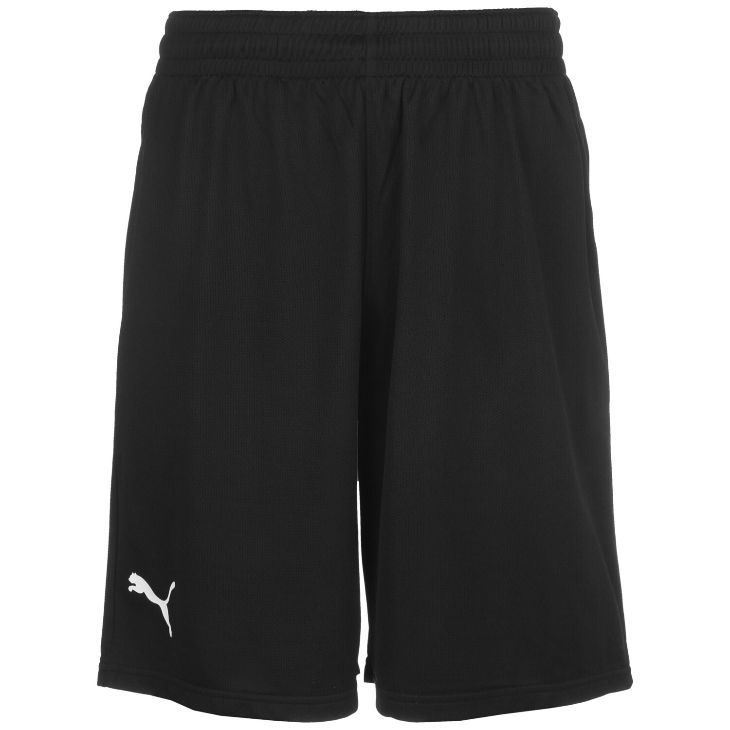 

Спортивные шорты Puma Basketball Practise, черный
