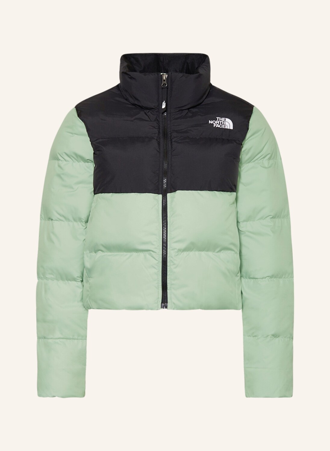

Куртка THE NORTH FACE SAIKURU